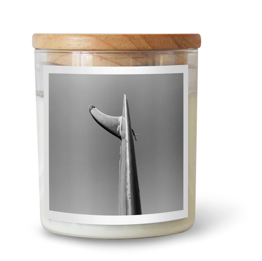 Fin Candle