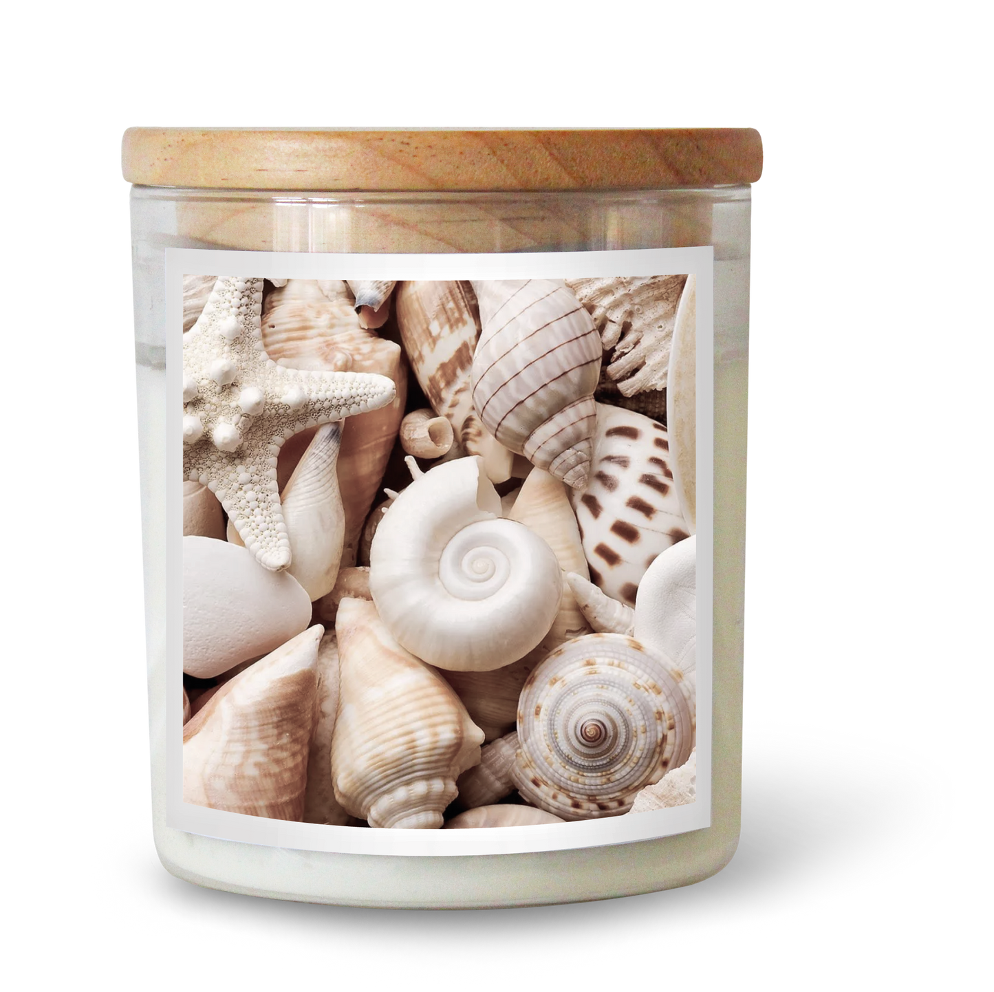 Shell Creatures Candle