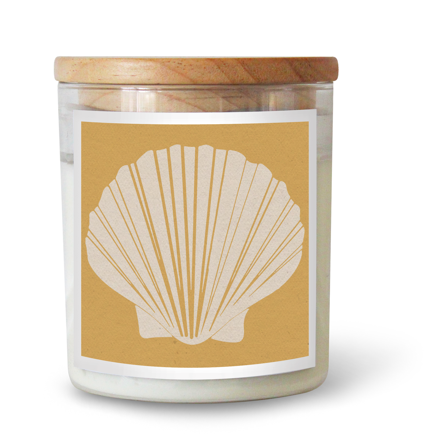 Fan Shell / Goldie Candle