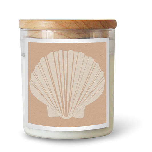 Fan Shell / Nude Candle